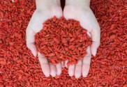 Goji Sumersalud Zaragoza
