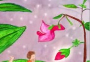 Flor de Bach Impatiens - Sumersalud